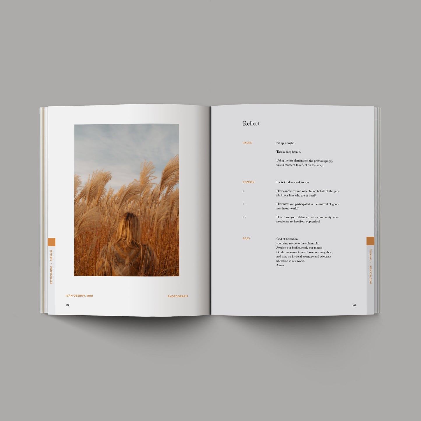 The Good and Beautiful Bible Study - Volume 1