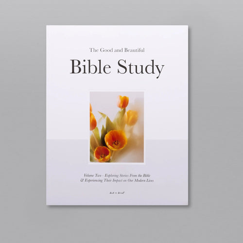 The Good and Beautiful Bible Study - Volume 2