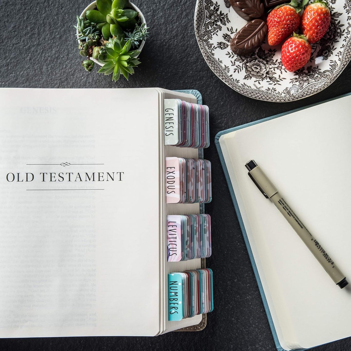 84 Bible Tabs (Large Font)