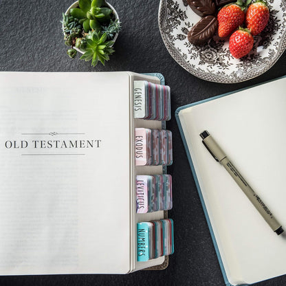 84 Bible Tabs (Large Font)
