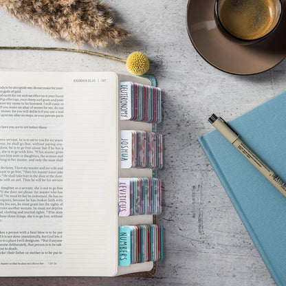 84 Bible Tabs (Large Font)