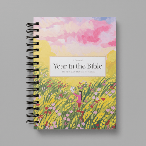 A Beautiful Year in the Bible Study
