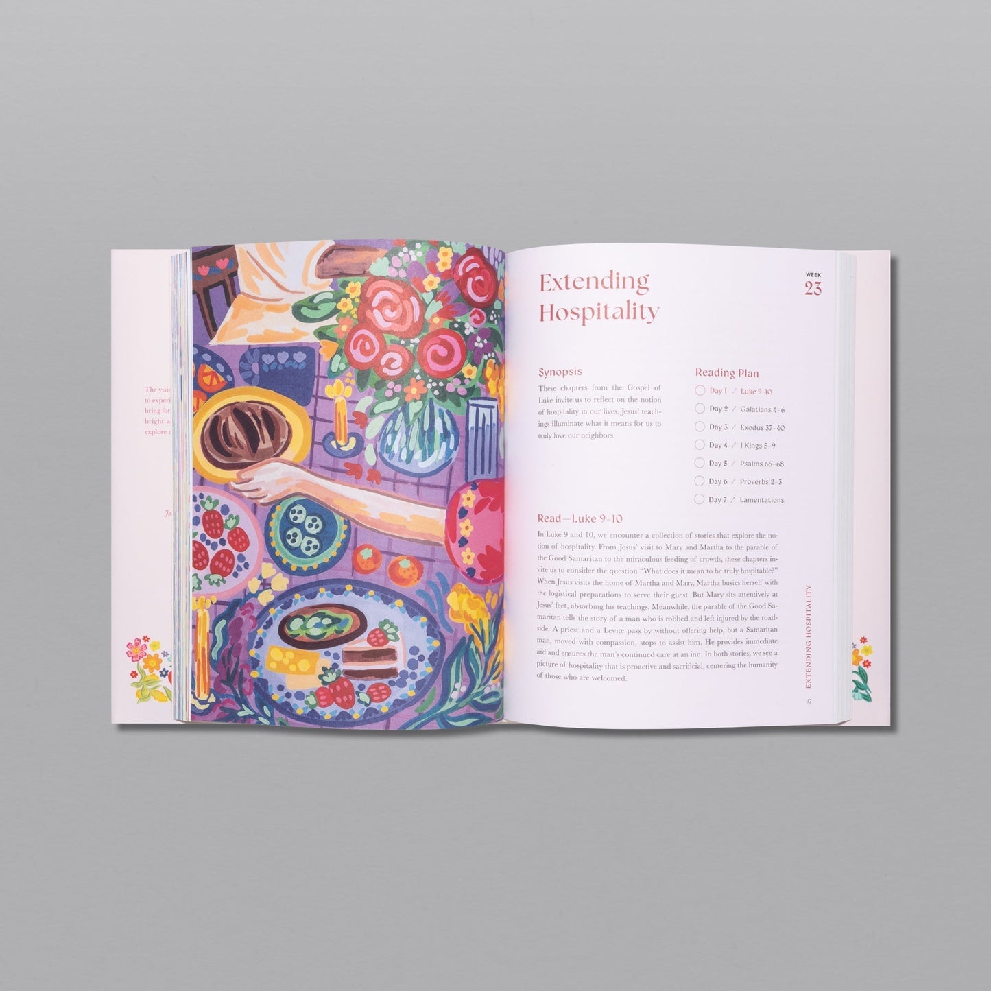 ...A Beautiful Year in the Bible Study