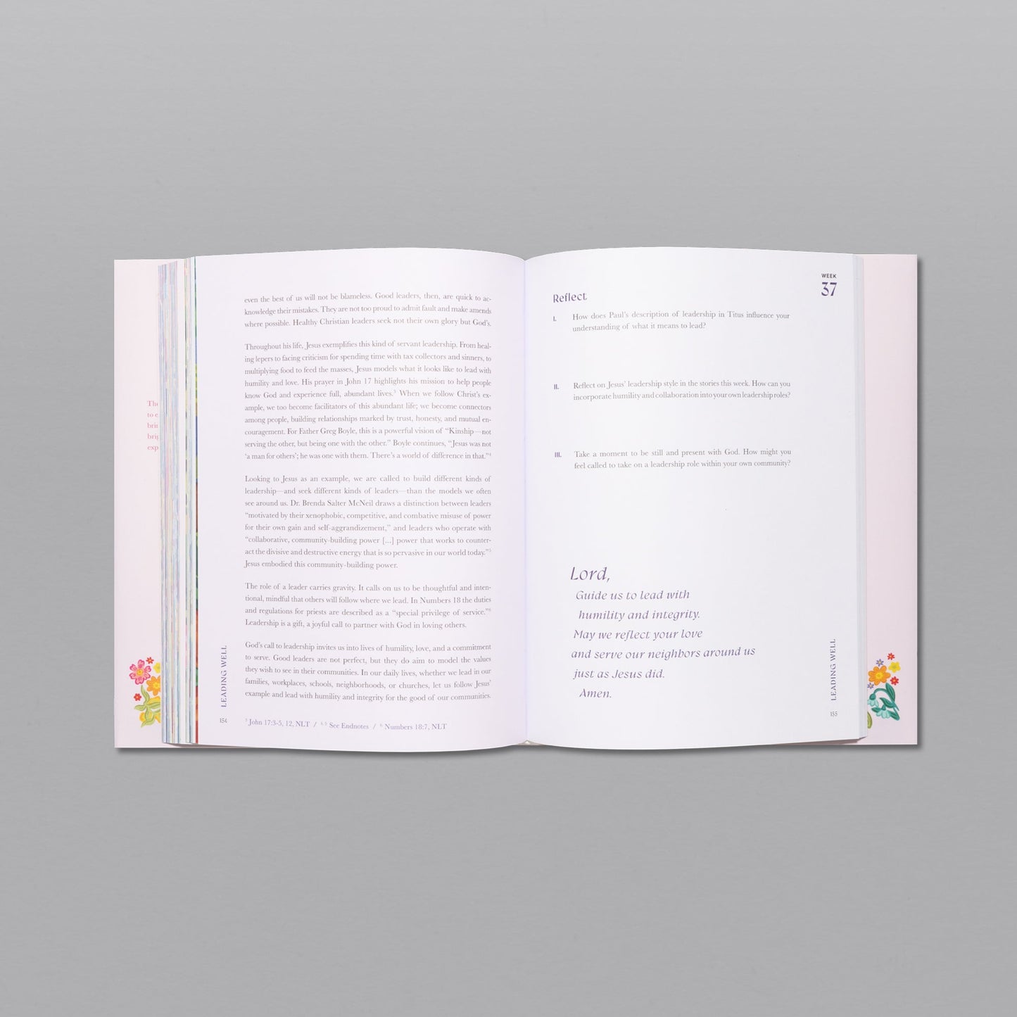 A Beautiful Year in the Bible Study (Cyber Monday)