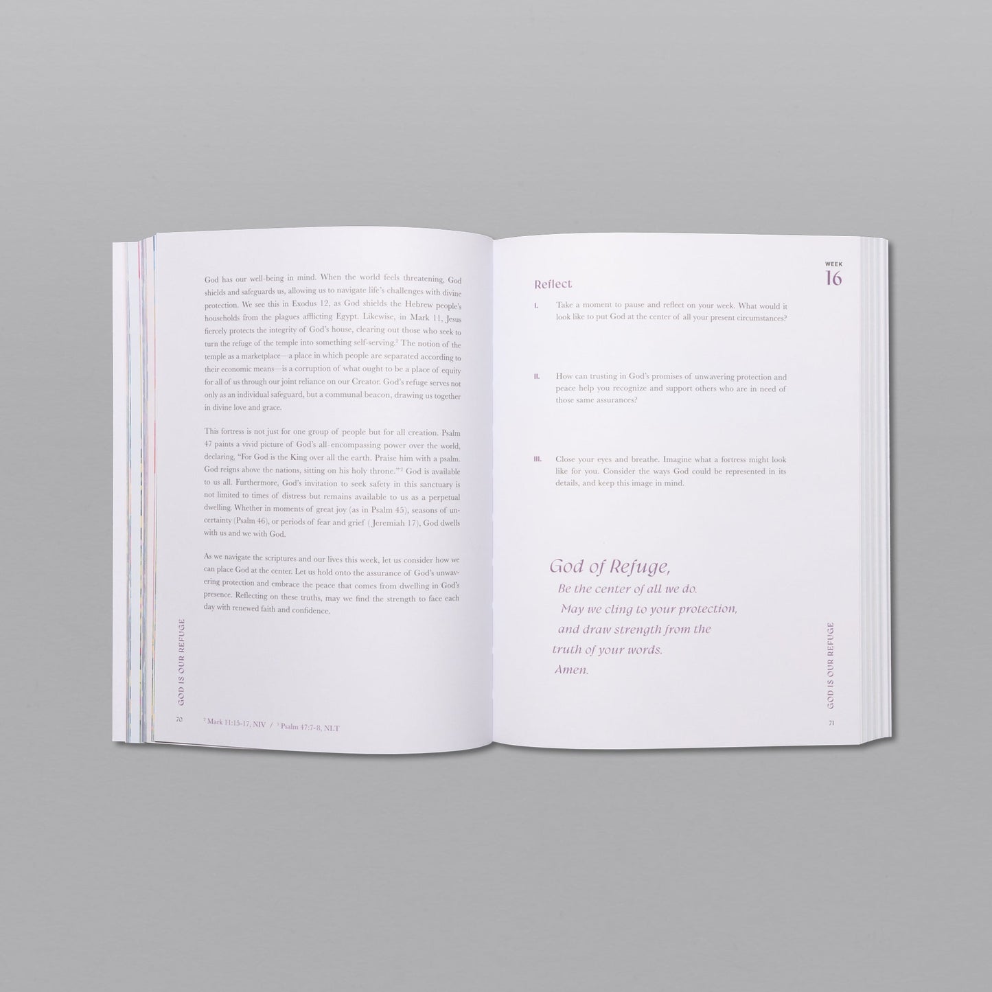 A Beautiful Year in the Bible Study - 70% OFF!