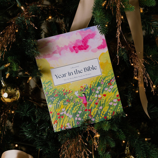 A Beautiful Year in the Bible Study - 70% OFF!